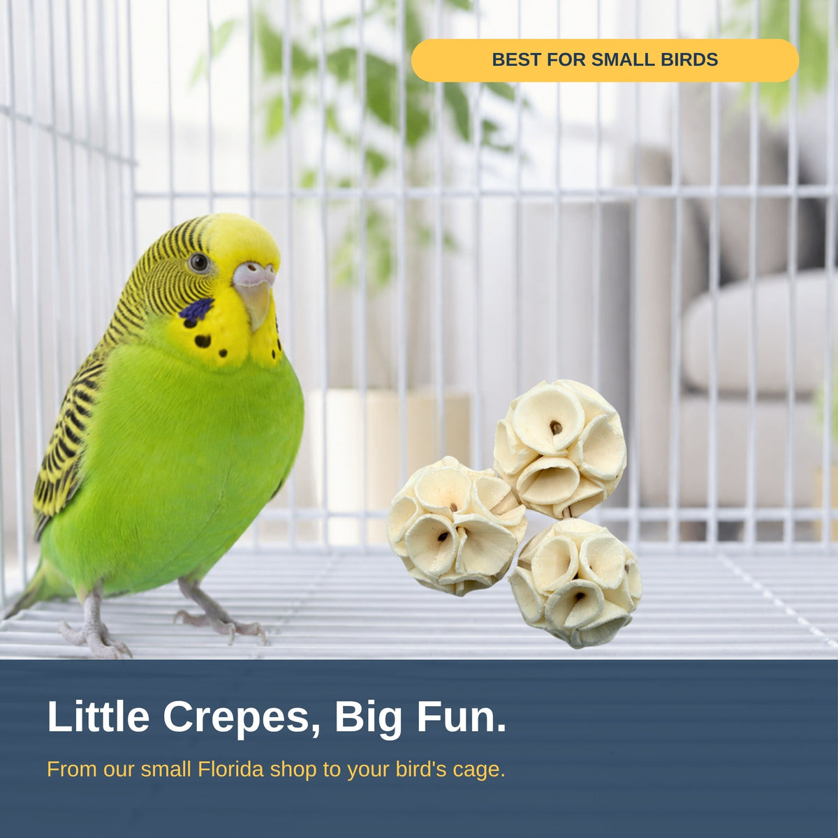 Mini sola crepes on a cage floor next to a budgie #size_mini - pack of 18