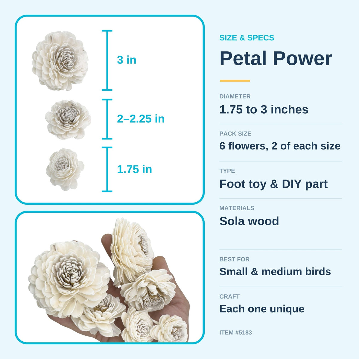 Pk6 Sola Dahlia Flower Assortment #5183