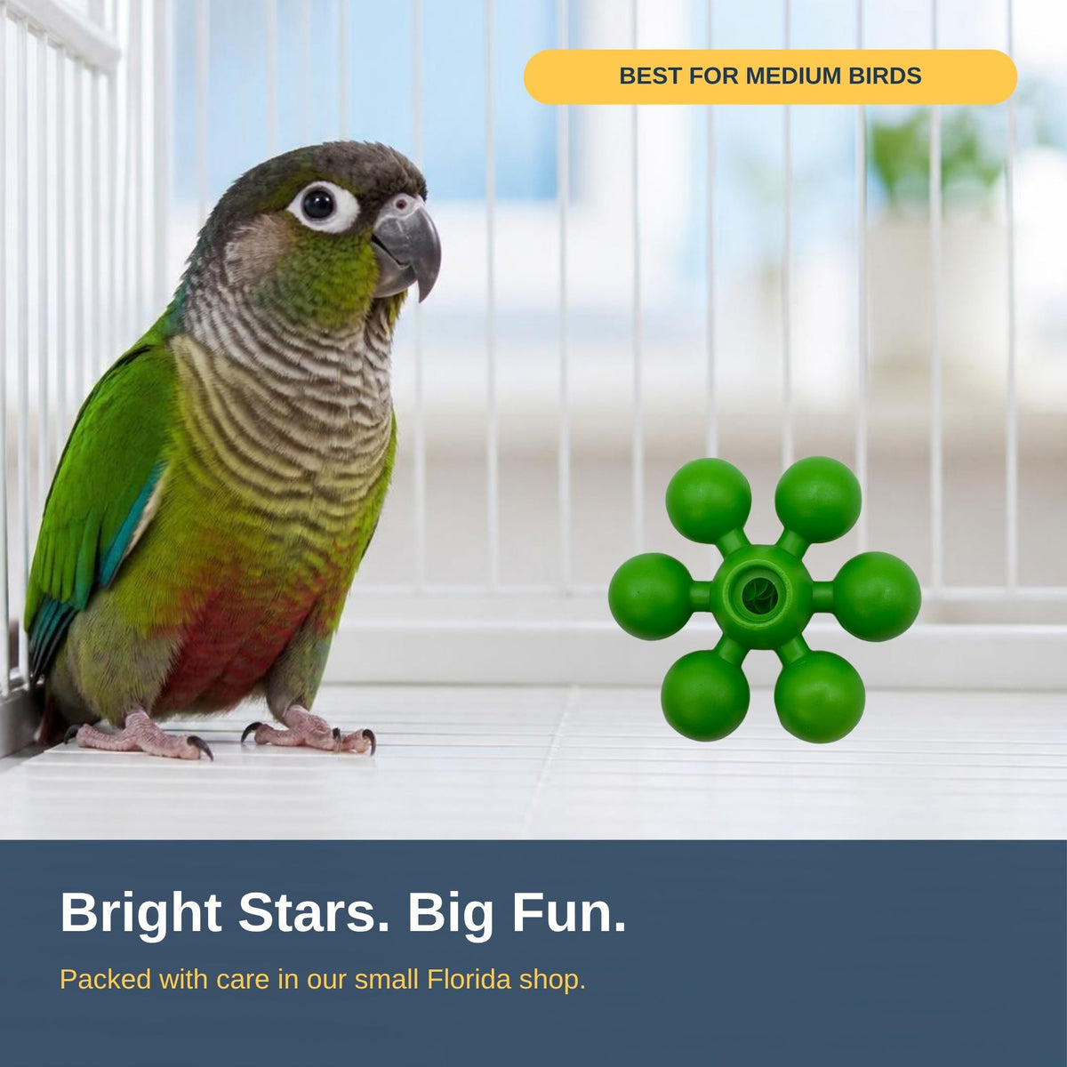 Pk6 Medium Bead Star #2201