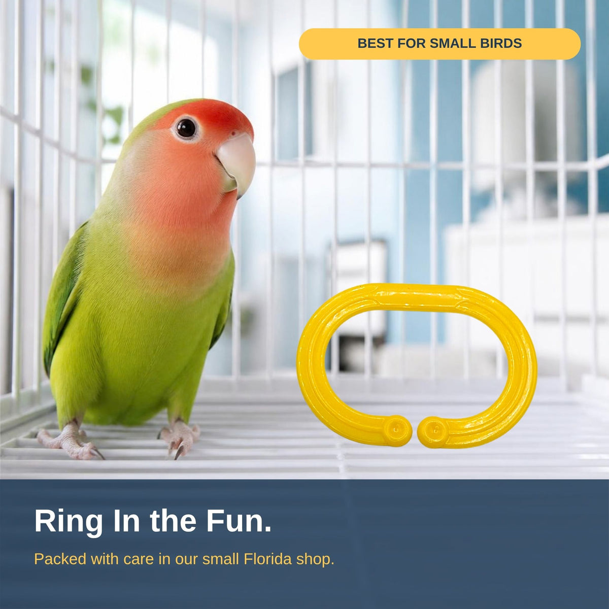 Pk16 Thin Rainbow Rings #2131