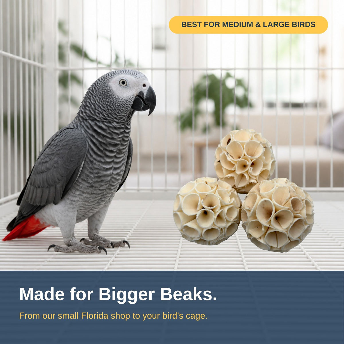 Mega sola crepes on a cage floor next to an African grey #size_mega - pack of 3