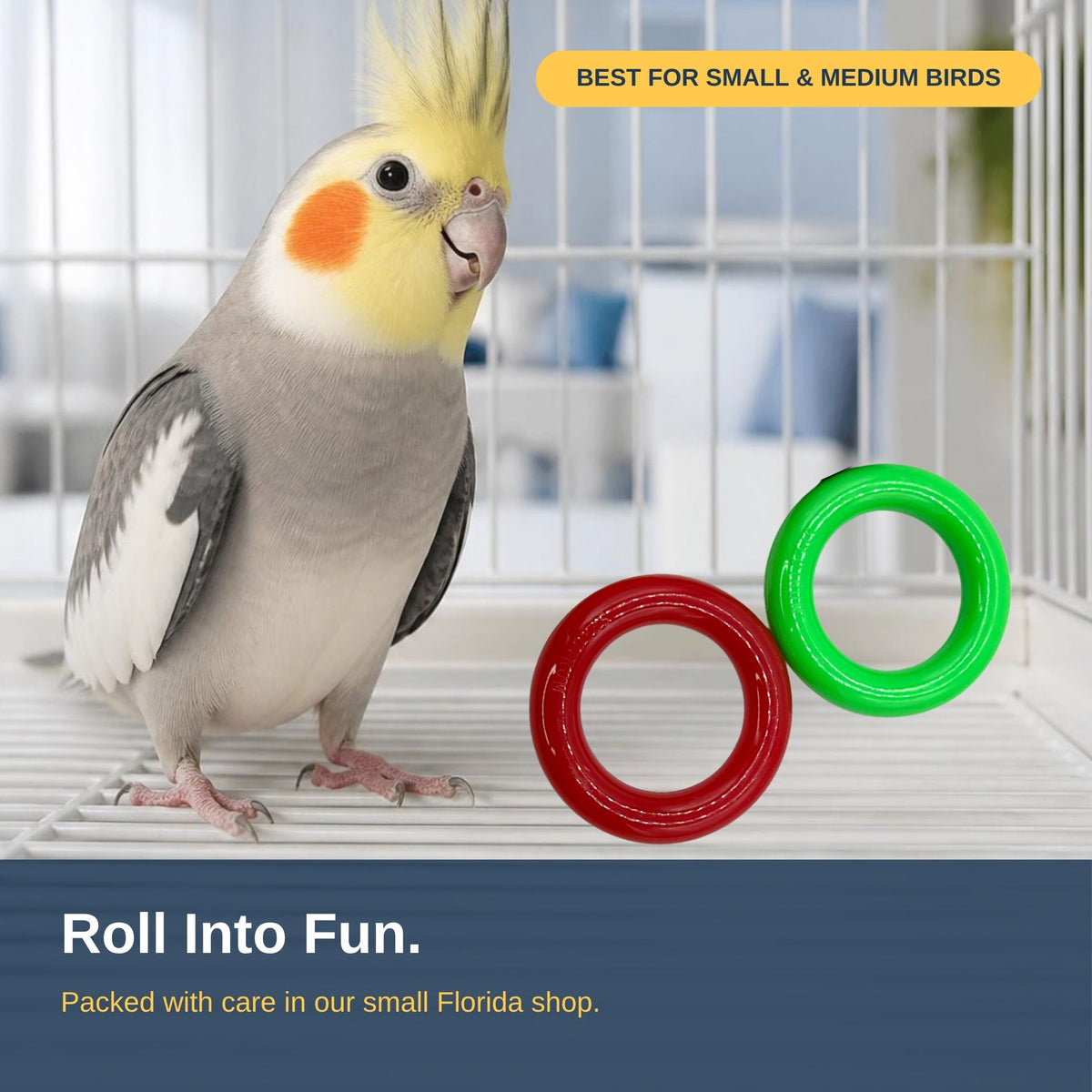 Pk12 Rainbow Rings #2143