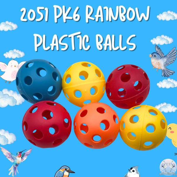 Rainbow Plastic Balls Pk6 #2051