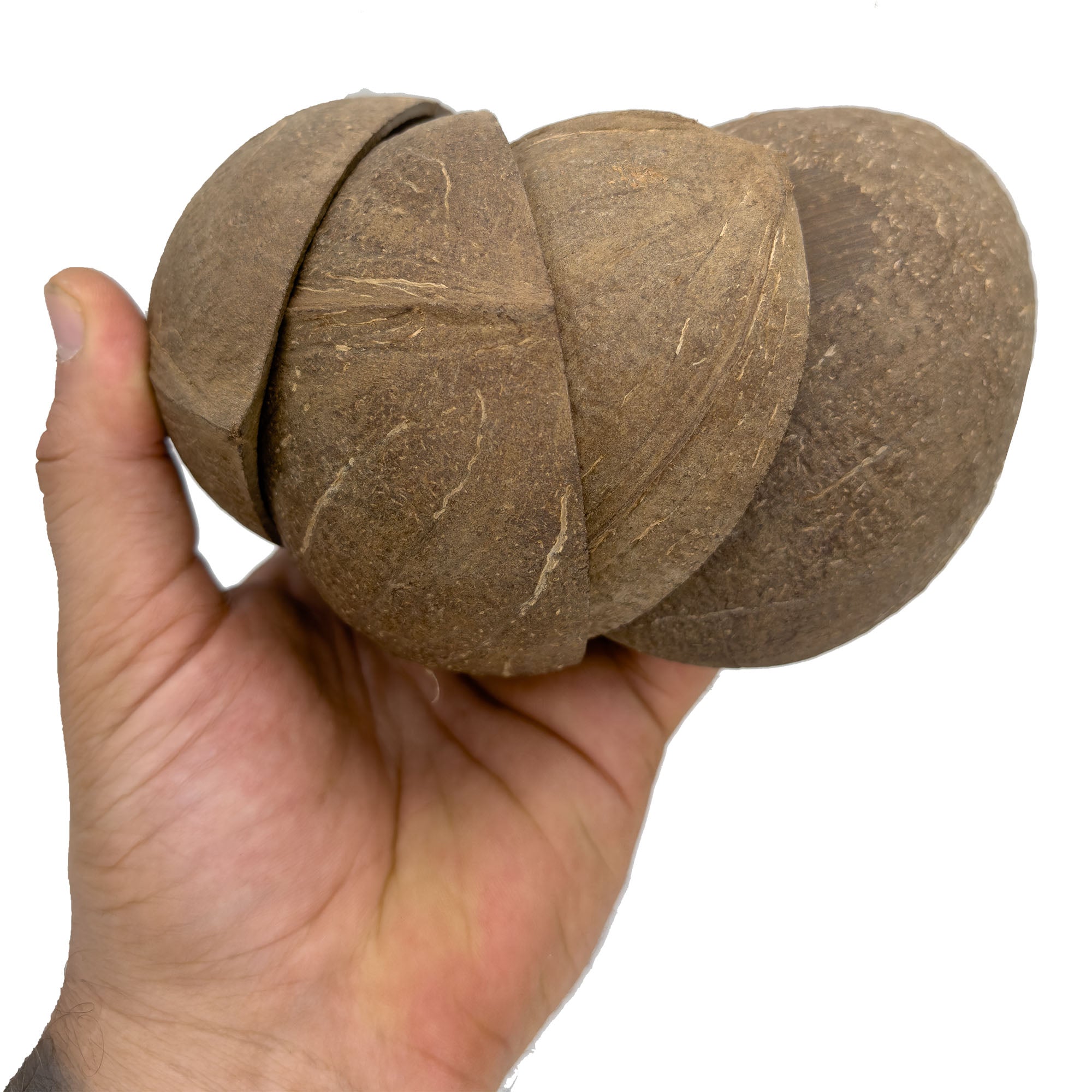 2070 Pk4 Sanded Base Half Shell Coconut