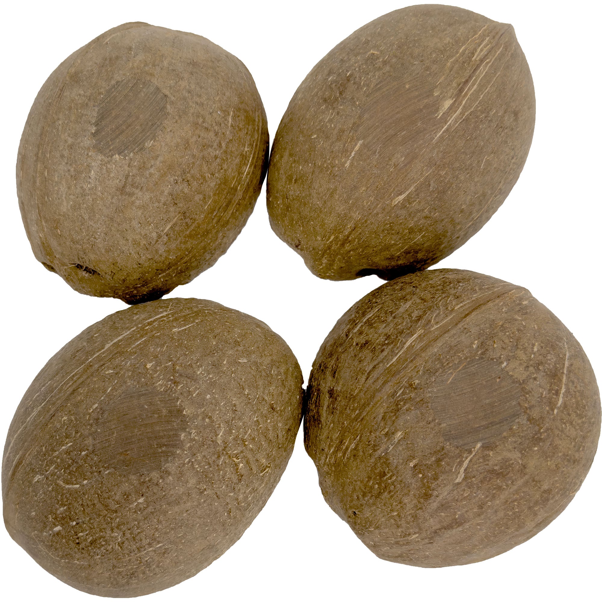 2070 Pk4 Sanded Base Half Shell Coconut