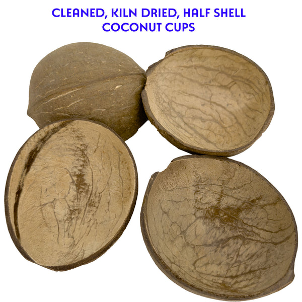 Pk4 Half Shell Coconuts #2071