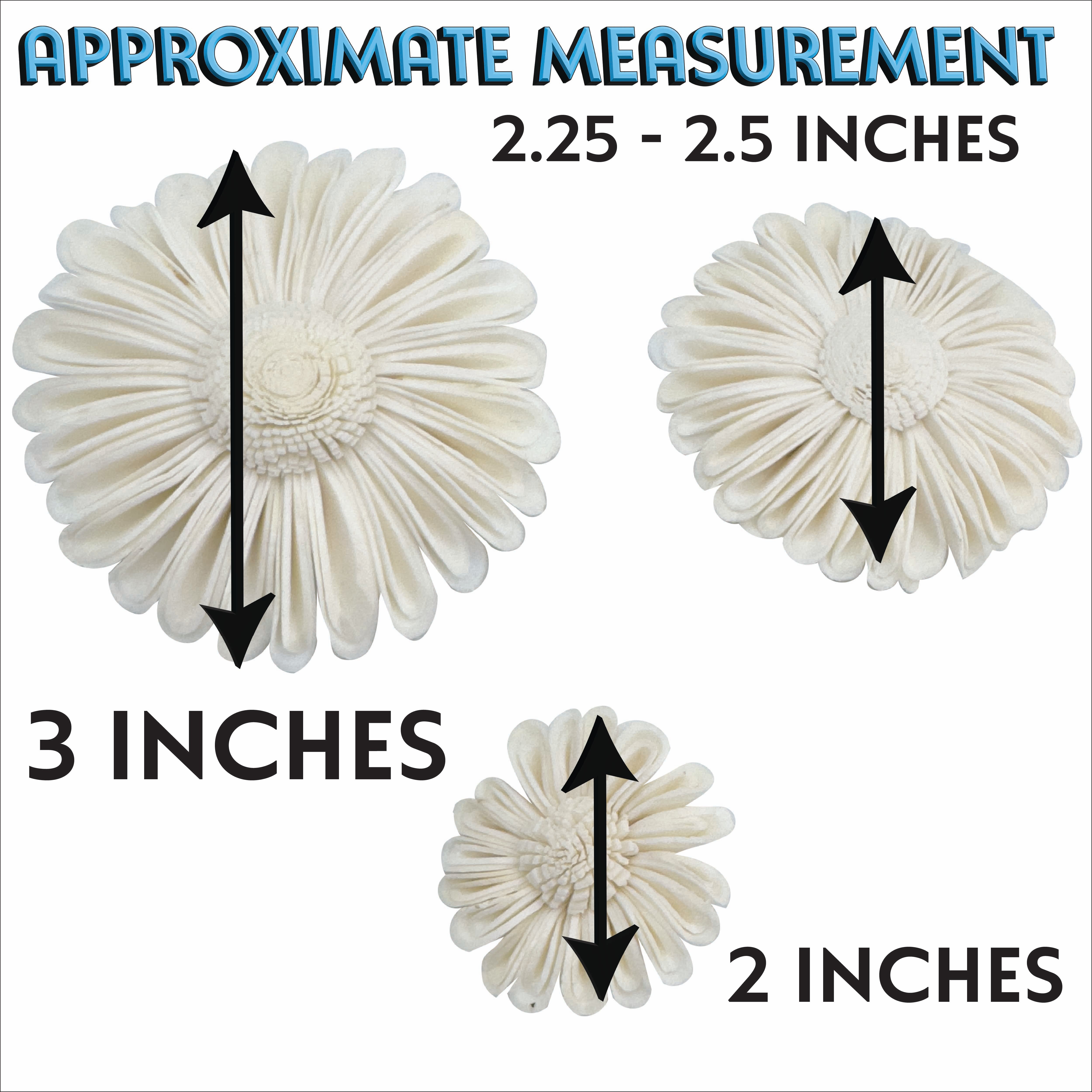 5160 Pk6 Sola Daisy Flower Assortment