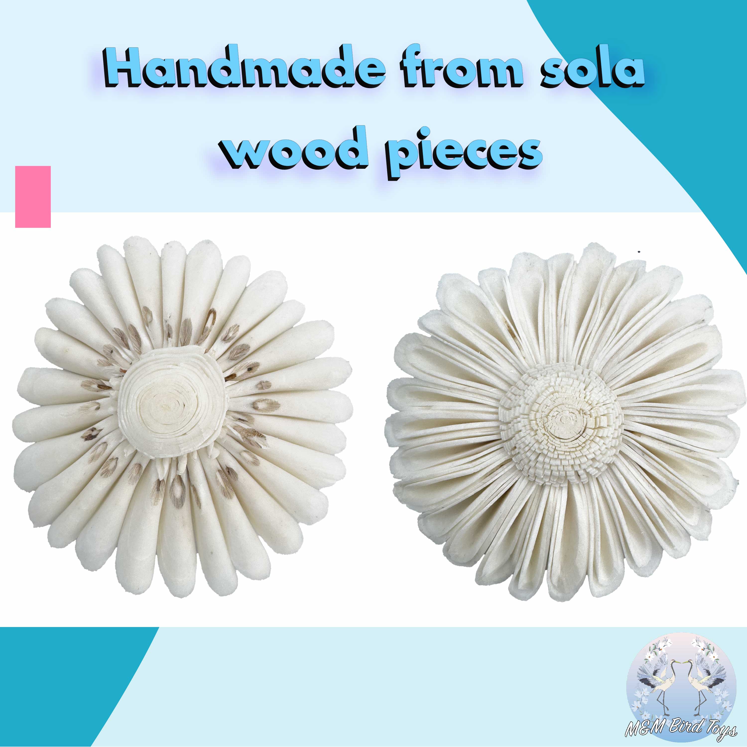 5160 Pk6 Sola Daisy Flower Assortment