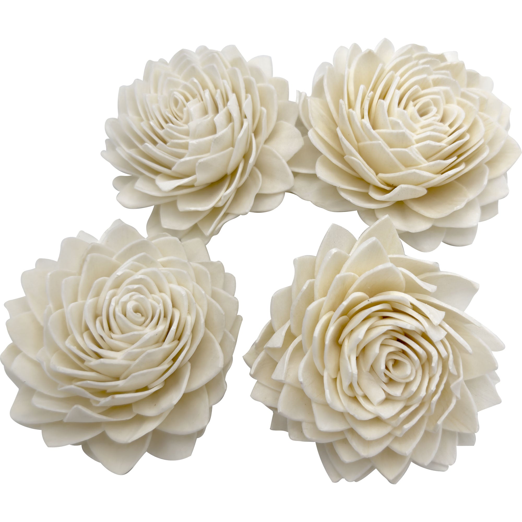 Sola Wood Flowers -Decorative Floral Foam Blocks, Size: 8