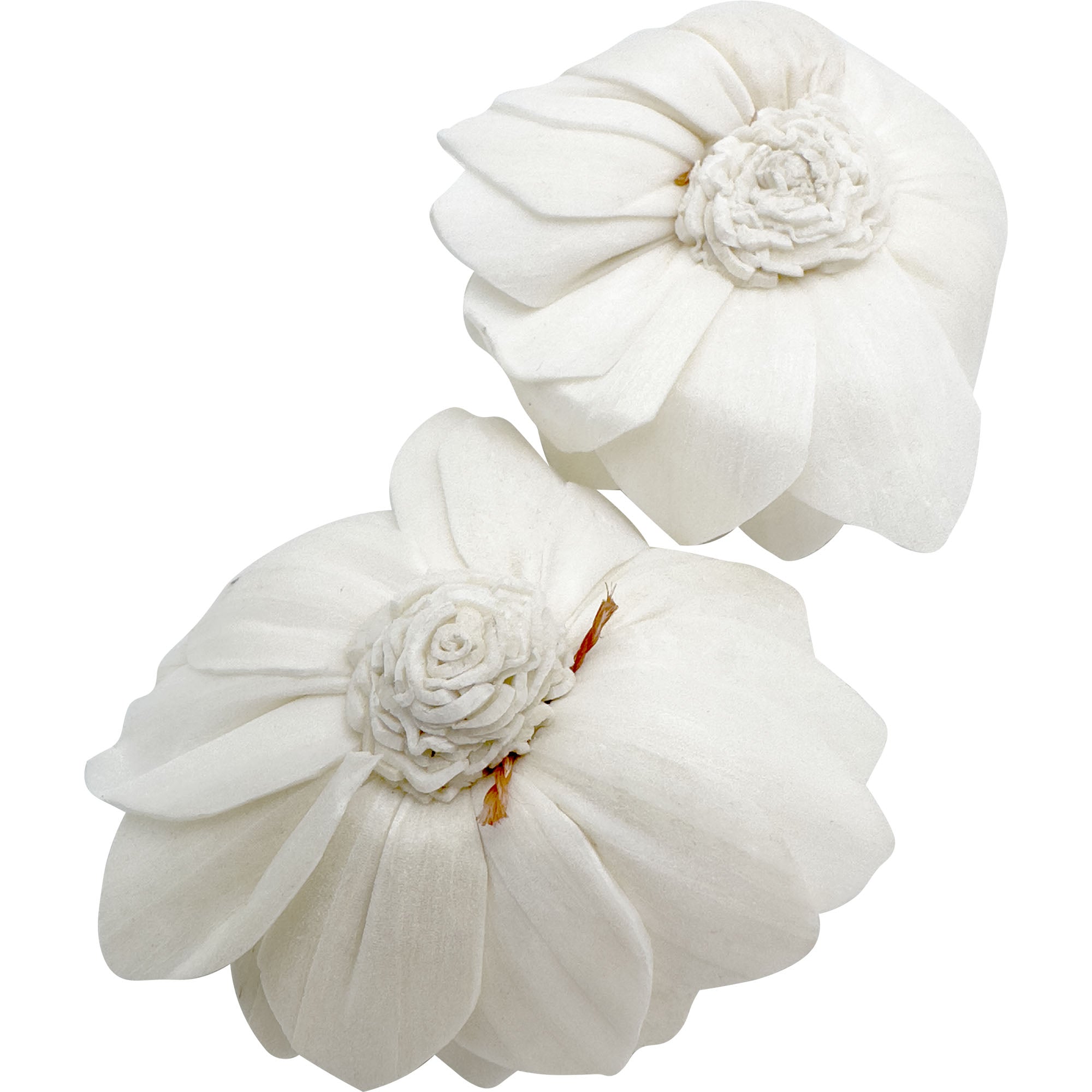 Sola Wood Flowers -Decorative Floral Foam Blocks, Size: 8