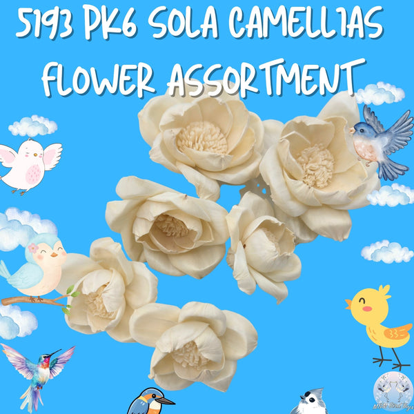 Pk6 Sola Camellias Flower Assortment #5193