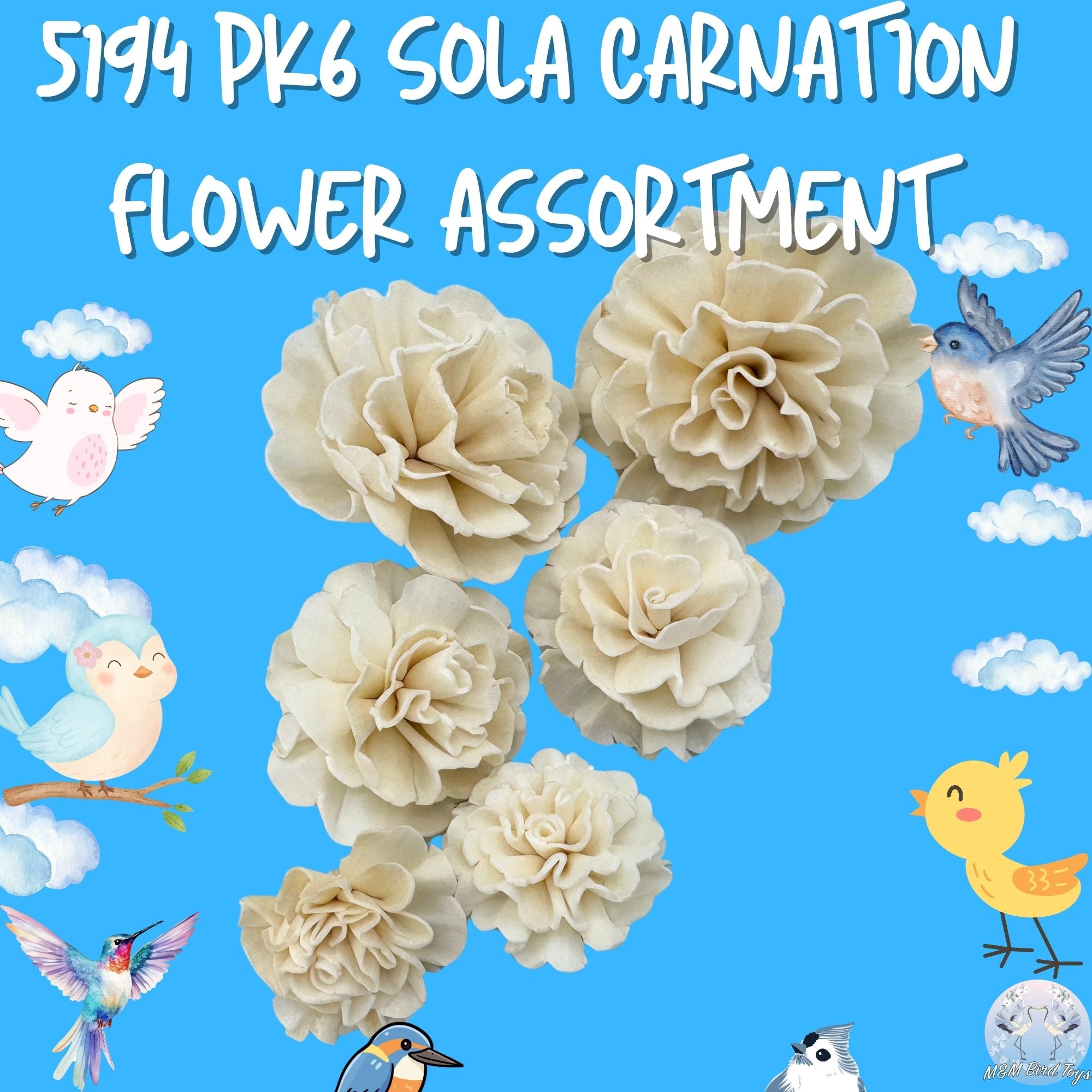 5194 Pk6 Sola Carnation Flower Assortment