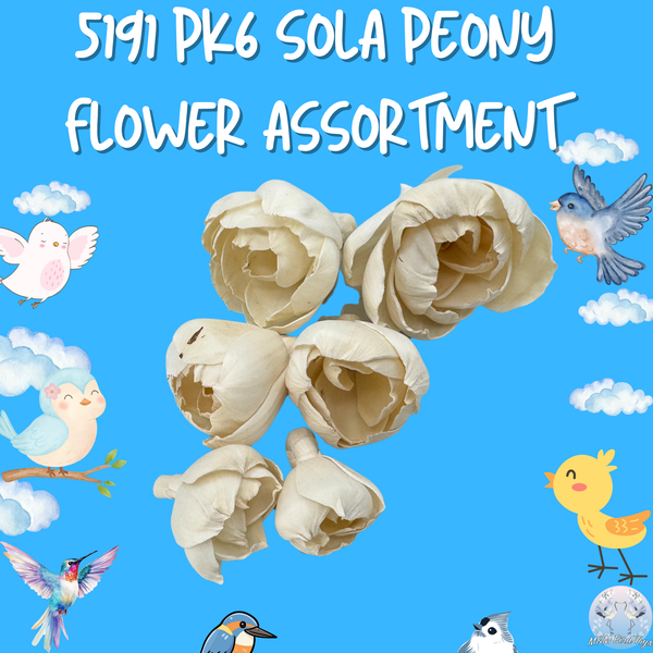 Pk6 Sola Peony Flower Assortment #5191