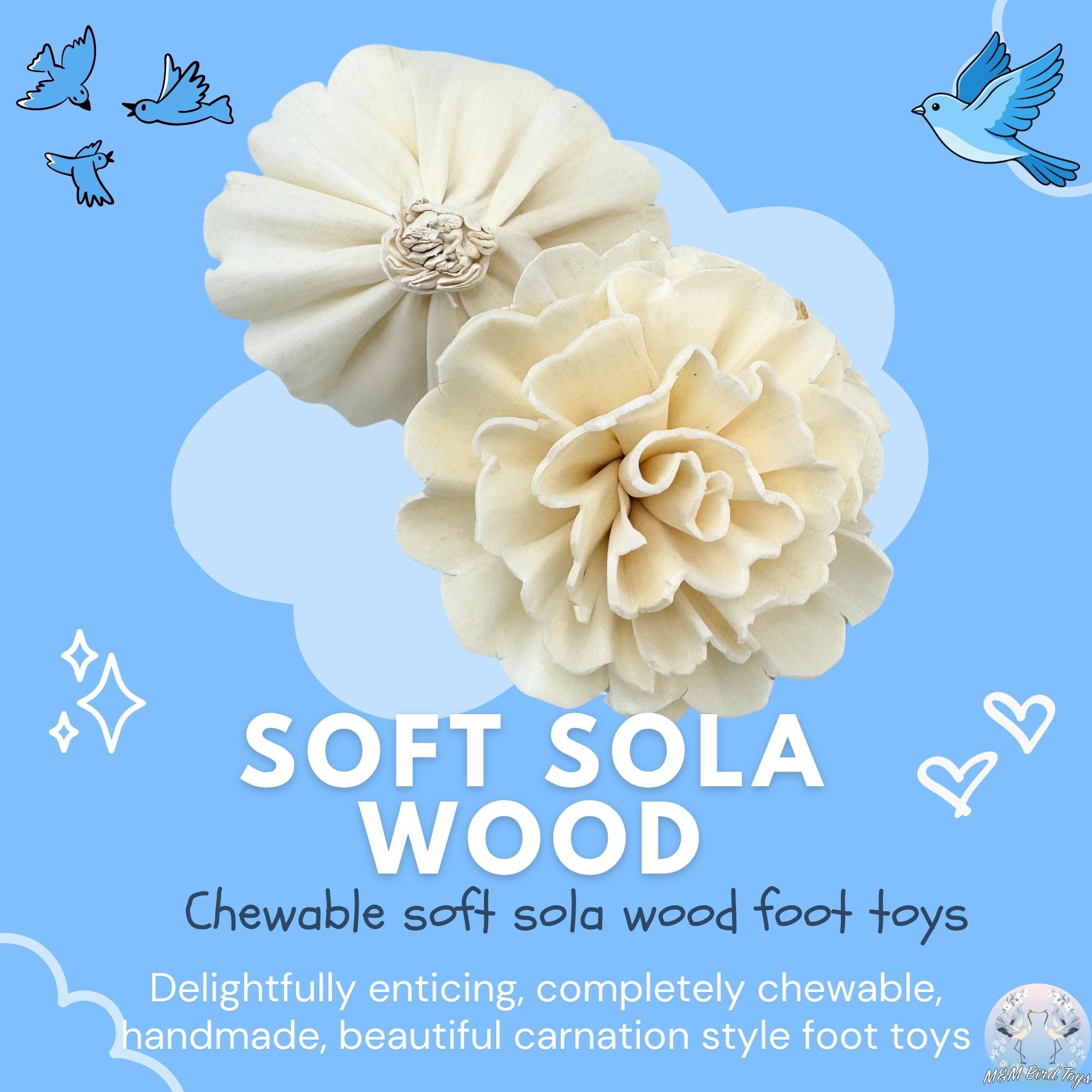 5194 Pk6 Sola Carnation Flower Assortment