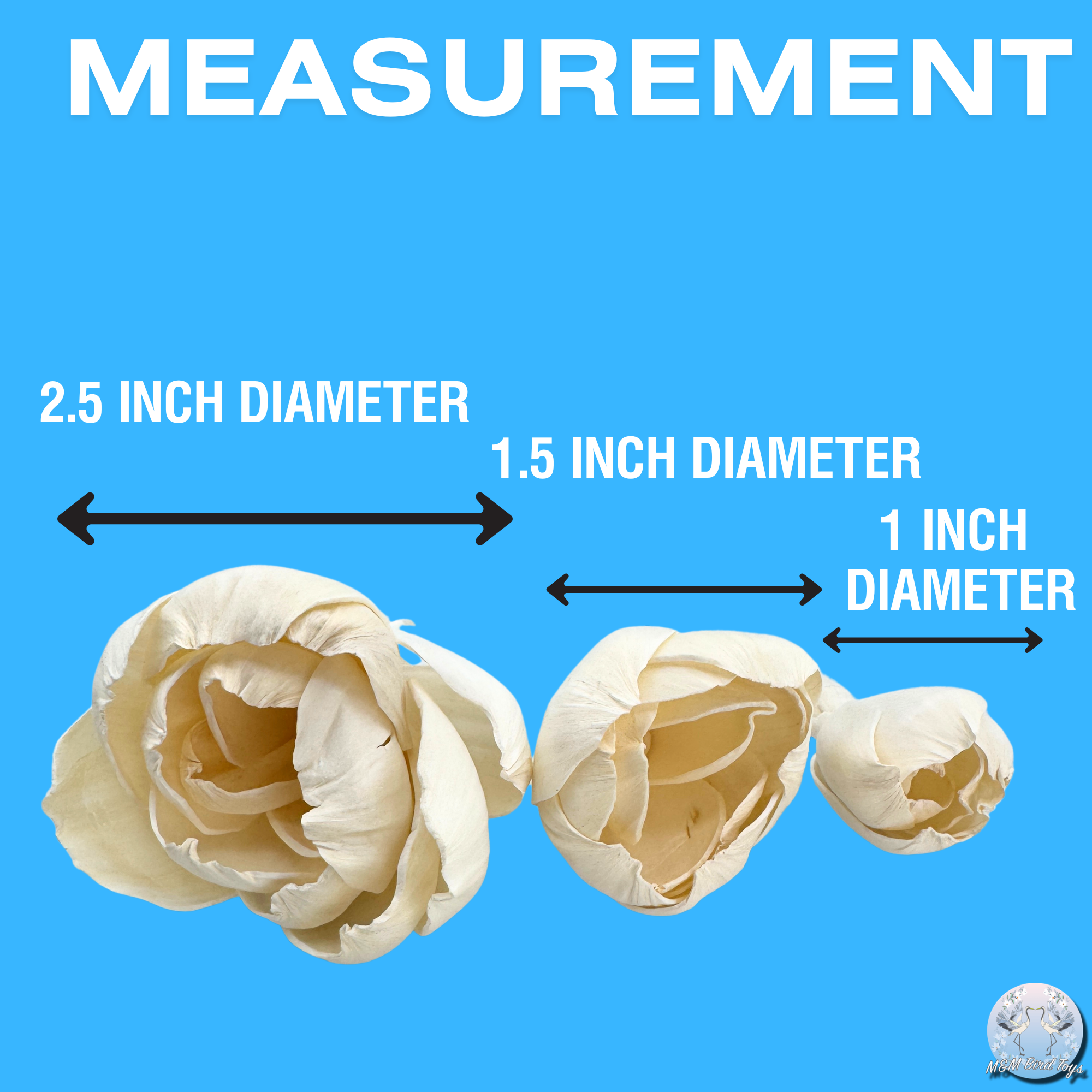 5191 Pk6 Sola Peony Flower Assortment