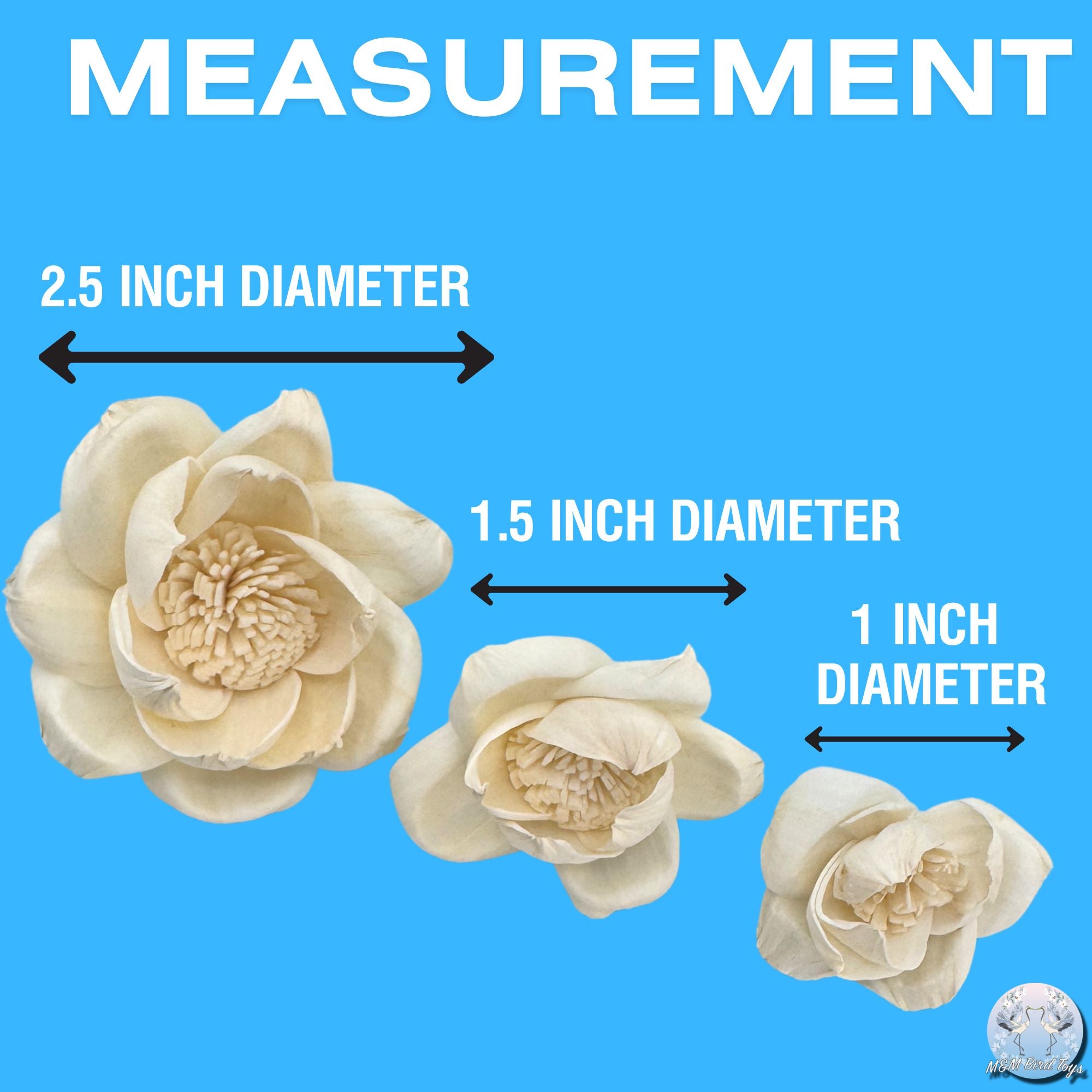 5193 Pk6 Sola Camellias Flower Assortment