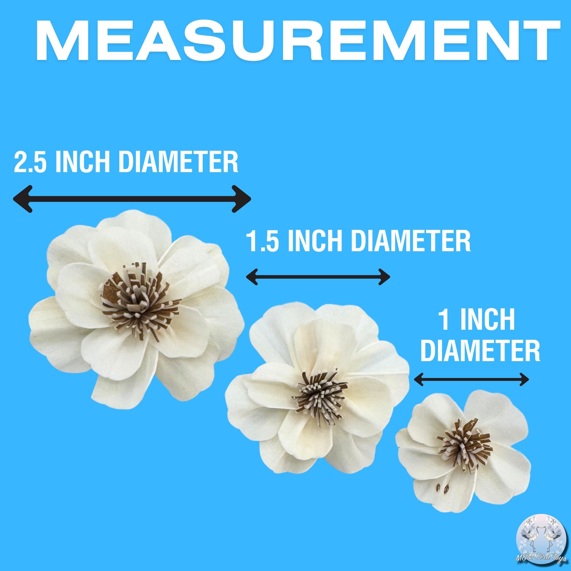 5192 Pk6 Sola Anemone Flower Assortment