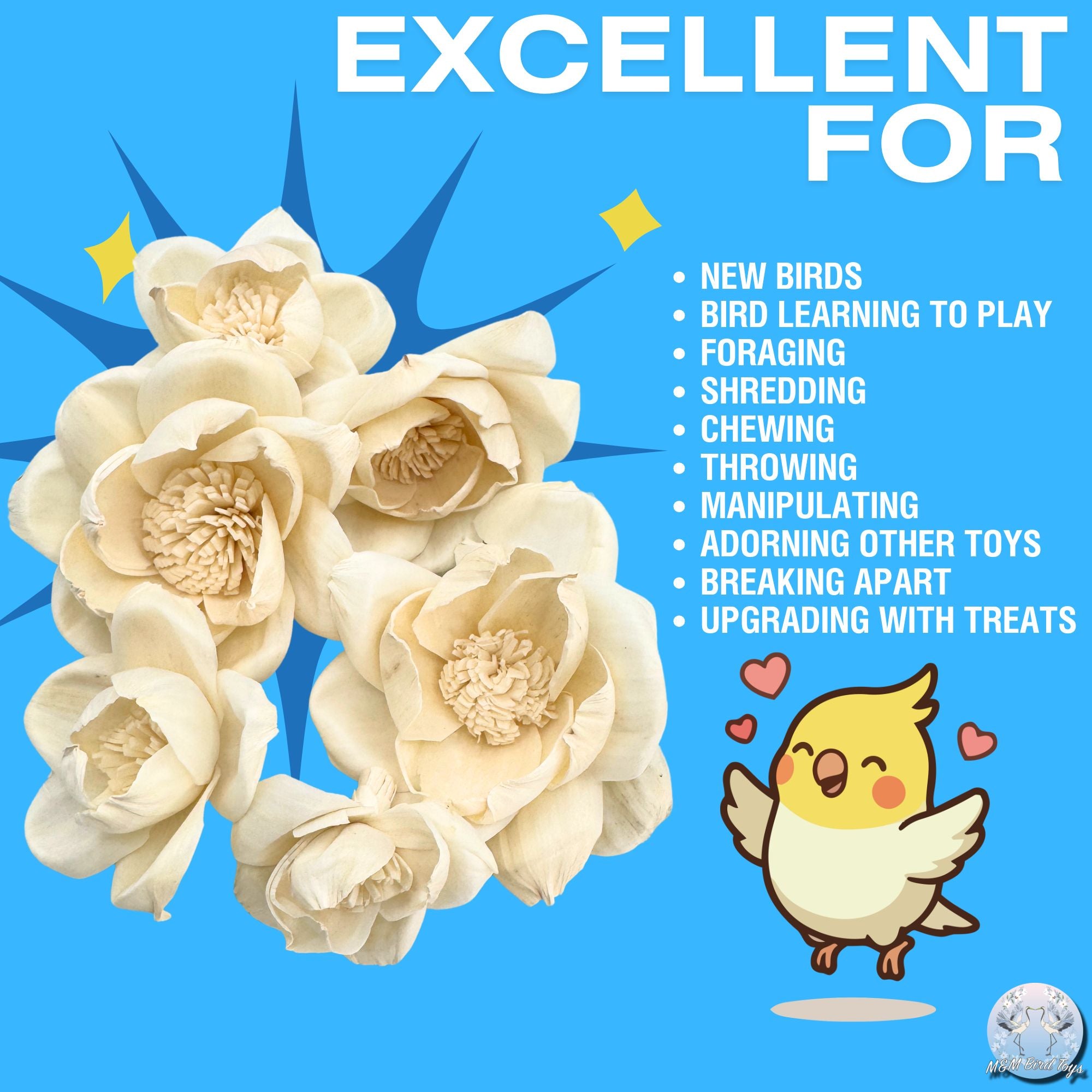 5193 Pk6 Sola Camellias Flower Assortment