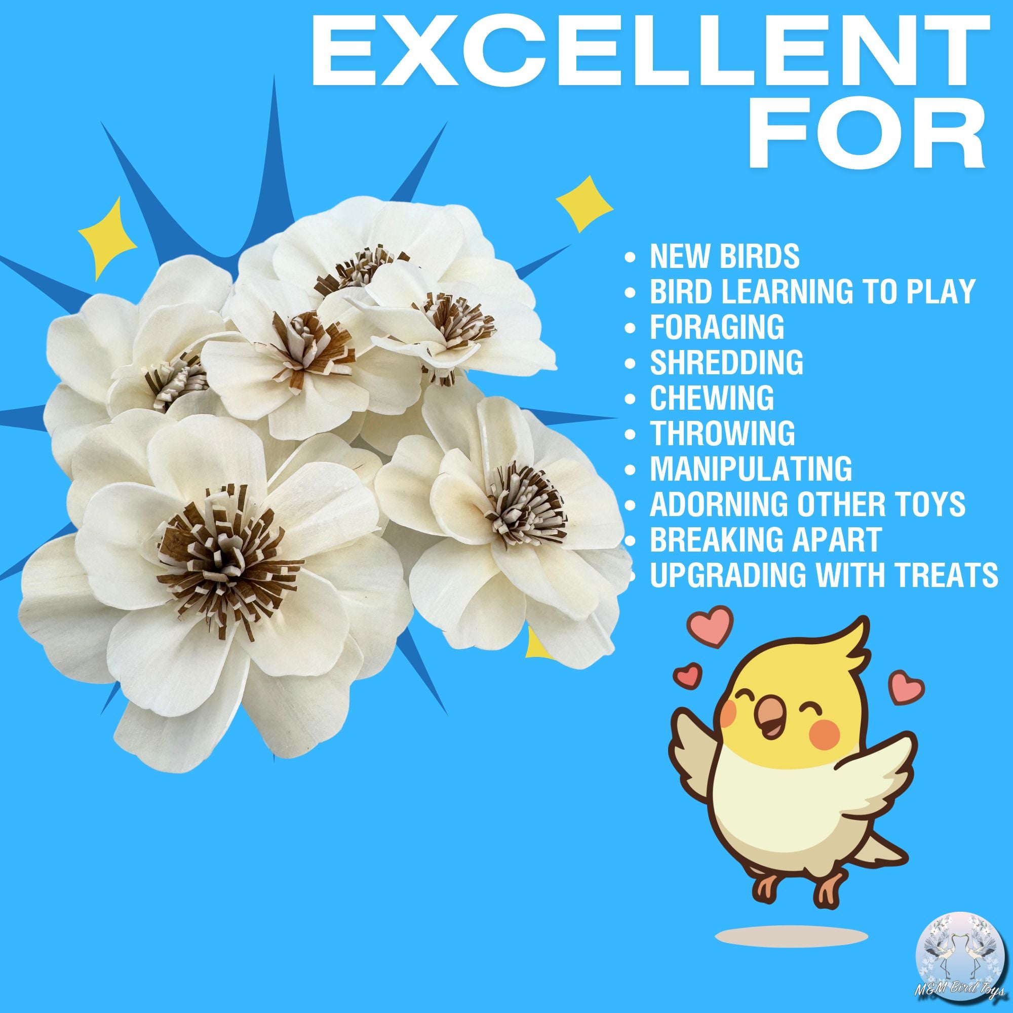 5192 Pk6 Sola Anemone Flower Assortment