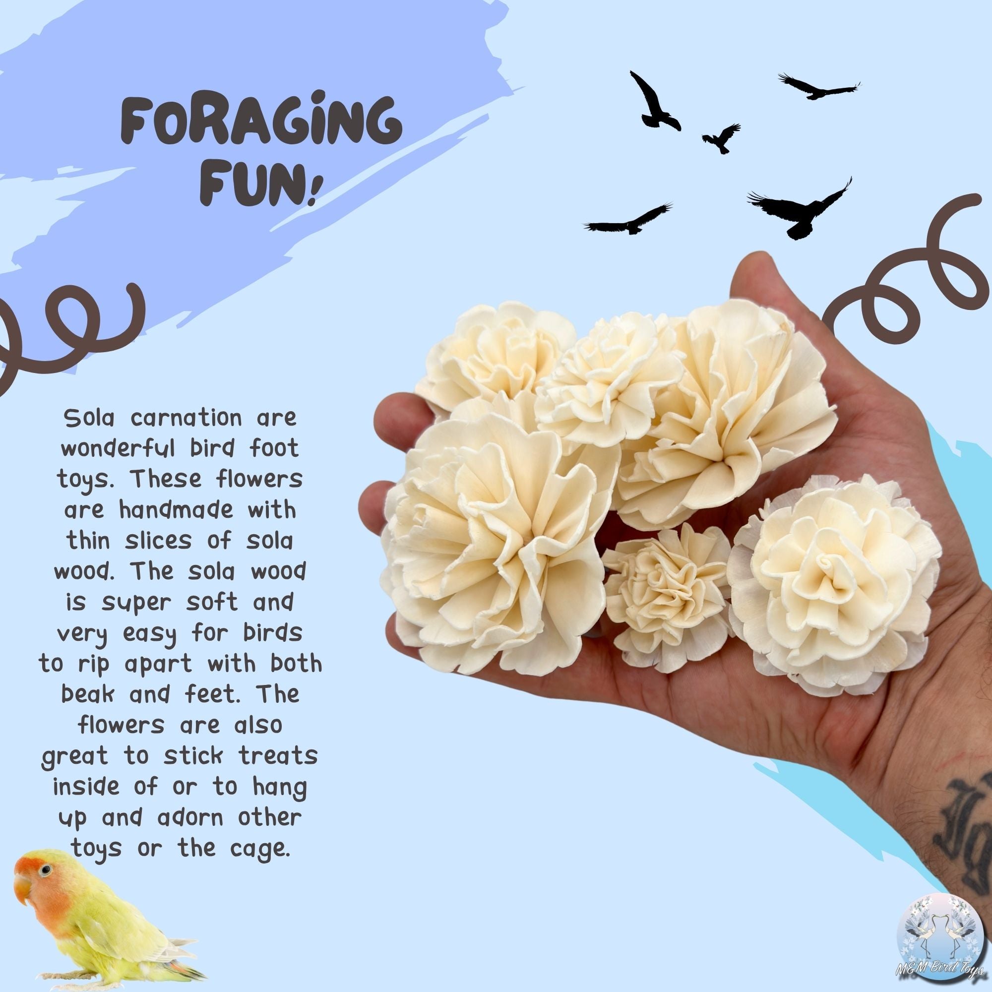 5194 Pk6 Sola Carnation Flower Assortment