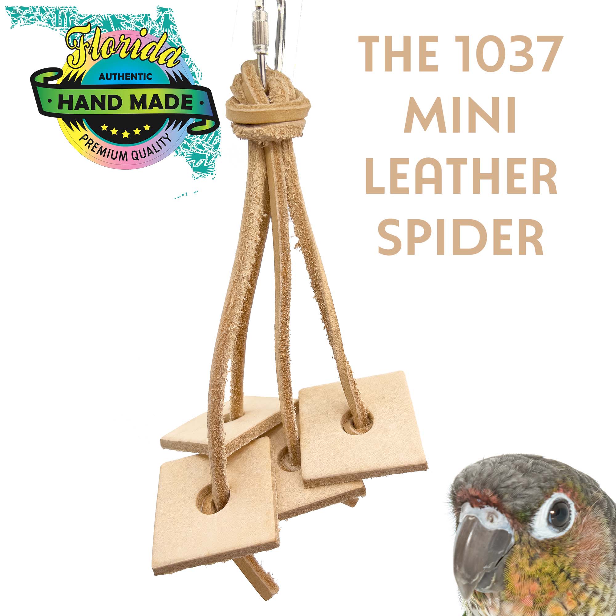 1037 Mini Leather Spider