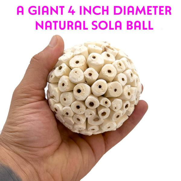 5107 Mega 4 inch Sola Ball Pk1 Pk2 Pk3 Mandarin Bird Toys