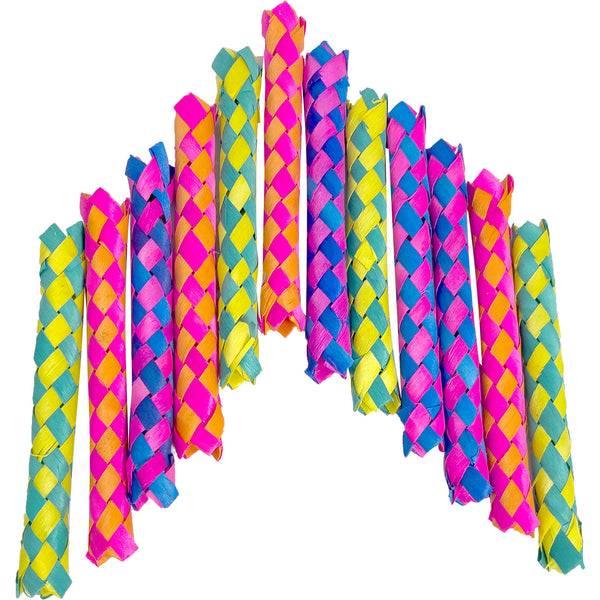 5520 Rainbow Bamboo Chewers - Hover